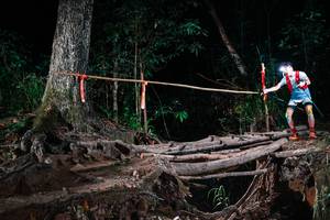 BIB: 
                            <button type="button" onclick="openModal(27390295)" class="btn btn-primary btn-sm float-right btn-popup" data-toggle="modal" data-target=".modal-high-quality">
                        <i class="fas fa-shopping-cart"></i> Add to Cart
                    </button>
                                            <button type="button" onclick="isThisMe(27390295, true)" class="btn btn-success btn-sm float-right btn-popup btn-isme hidden" data-toggle="tooltip" data-placement="bottom" title="นี่คือรูปของคุณใช่ไหม คลิกที่นี่เพื่อเอาเข้าอัลบั้ม">
                        <i class="fas fa-plus"></i> Add to album
                    </button>
                    <button type="button" onclick="isThisMe(27390295, false)" class="btn btn-warning btn-sm float-right btn-popup btn-isnotme hidden">
                        <i class="fas fa-ban"></i> Remove from album
                    </button>